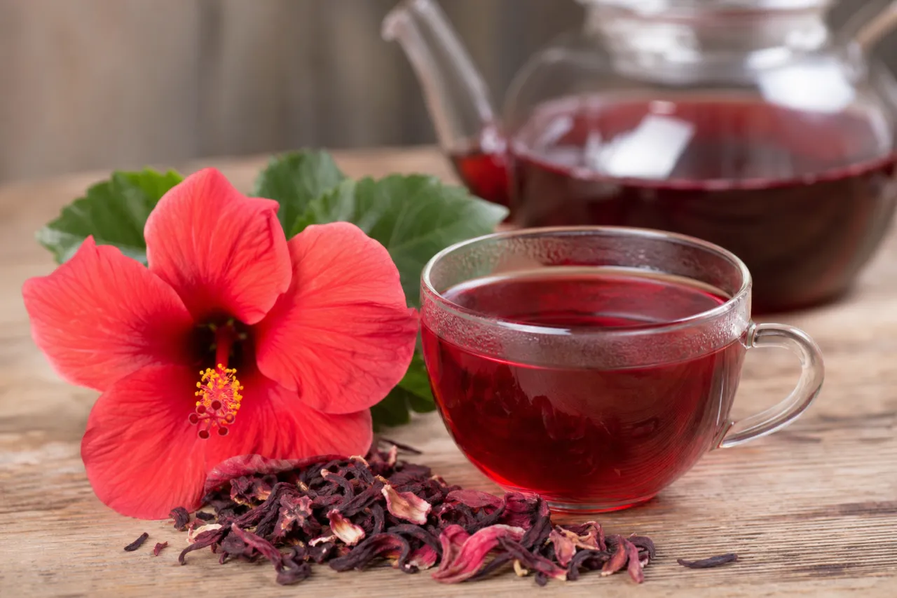Welcher Hibiskus eignet sich für Tee?